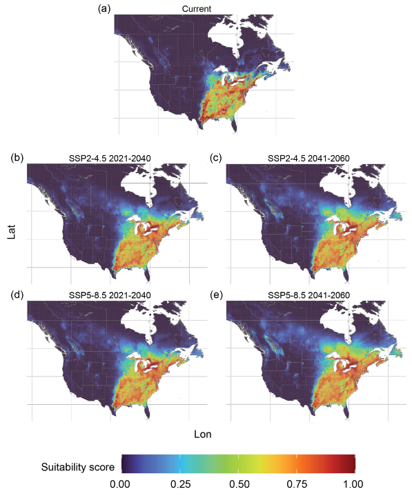 Mapas de idoneidad climática en Norteamérica bajo escenarios SSP para distintos periodos